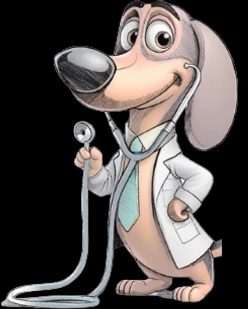 Mr. Vital Pet, la mascota de la clínica: un perro salchicha con bata blanca, corbata y estetoscopio